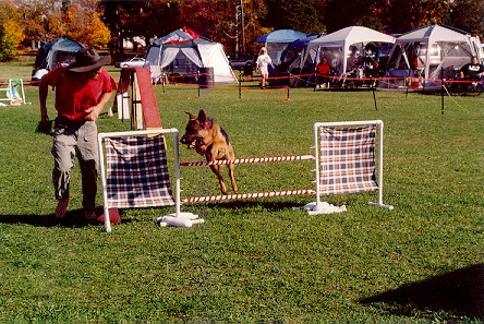Mason agility 2.jpg (80585 bytes)