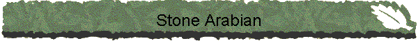 Stone Arabian