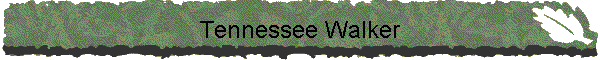 Tennessee Walker